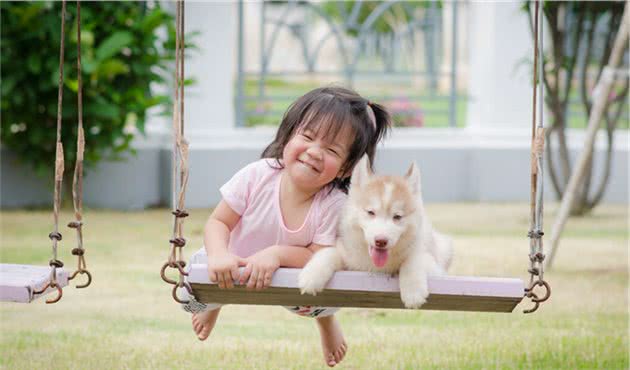 最天真、善良、不记仇的大型犬，养了从没后悔过