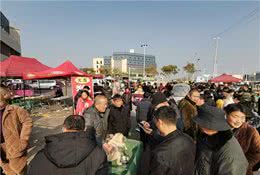 农村大爷一窝肥狗被强买，5只出价130元：品种非常稀奇