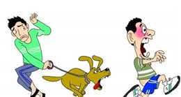 “狗遛人”危害大，做到这几点，让狗狗乖乖跟你走