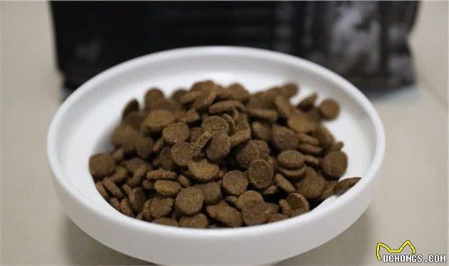 冬季宠物养护小知识，狗粮怎么选，你get了吗？