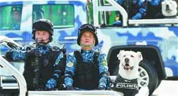 阿拉拜犬，土库曼斯坦人的“守护神”