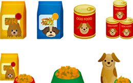 爱?训犬|如何科学的饲喂狗狗