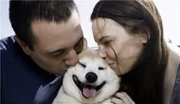 狗狗过得很幸福的表现，如果全中，那你是很合格的主人