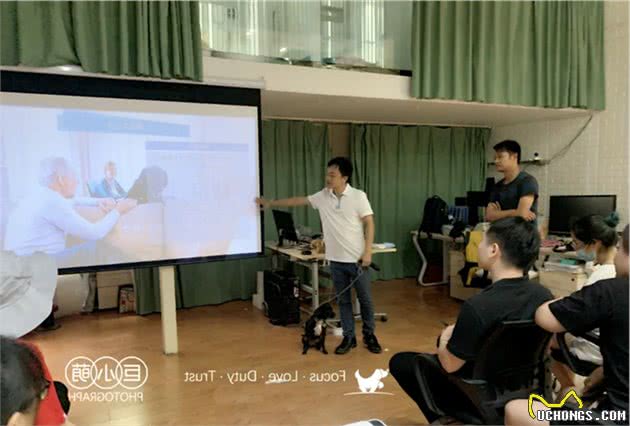 易知狗成长课堂：偏爱柴犬、柯基等纯种犬，坏习惯也更“纯种”