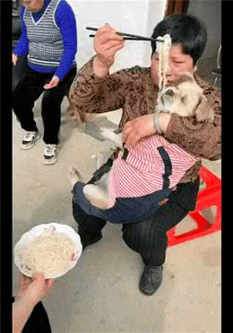 奶奶将狗狗抱在怀里，用筷子夹起面条往它嘴里喂，满满的爱呀