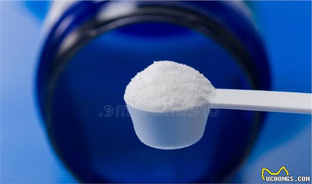养宠知识：宠物钙片怎么喂，光吃钙片行吗