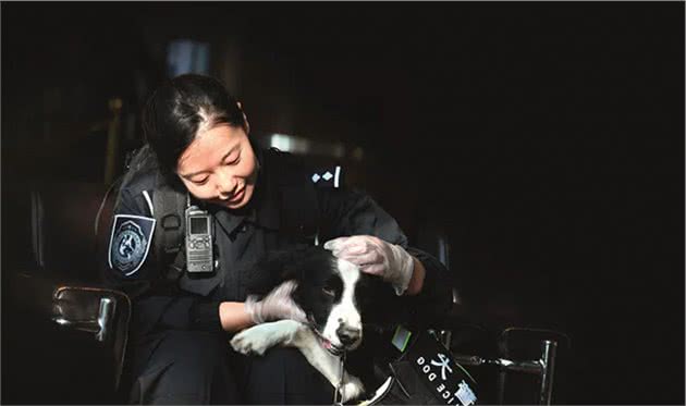 垃圾场上蝇虫横飞，警犬突然不停用爪子刨！