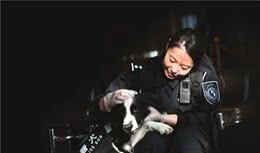 垃圾场上蝇虫横飞，警犬突然不停用爪子刨！