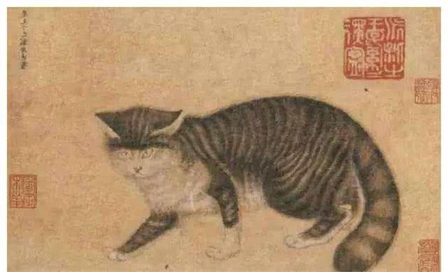 谁说猫原产于埃及，明明中国西周时期就有了猫