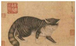 谁说猫原产于埃及，明明中国西周时期就有了猫