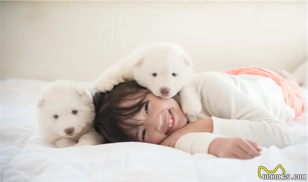 带你了解真正的“幼犬社会化