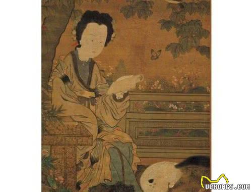 为什么狗狗能消化淀粉，猫咪不可以？其实猫咪正在慢慢改变
