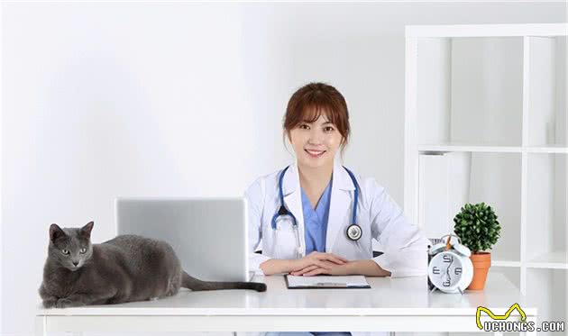 一旦宠物猫狗出现呼吸困难或呼吸急促的时候一定要重视起来