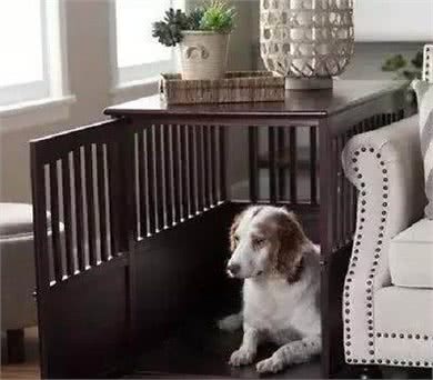 狗狗是散养好还是笼养好？对比一下就知道了