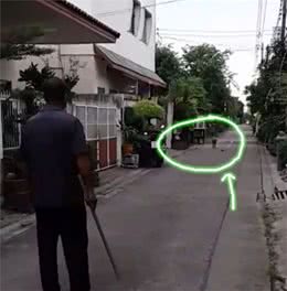 狗狗犯错总是屡教不改？你的方法全错了