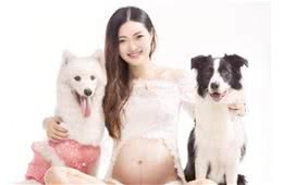怀孕期间到底可不可以养狗呢？