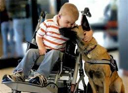 服务犬过生日，主人让它自行挑选礼物，狗狗选的礼物让人泪目