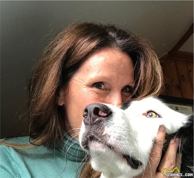 边牧犬被绑架靠自己得救，鄙视偷狗贼：“我是最聪明的狗狗”