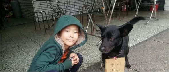 小主人介绍狗狗，使用方法竟然有“暖床”，价格“无价”是真爱了