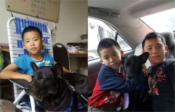 小主人介绍狗狗，使用方法竟然有“暖床”，价格“无价”是真爱了