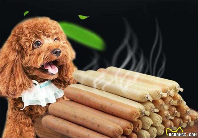 泰迪犬最“爱”吃这五种食物，给它满满一碗，都能吃完
