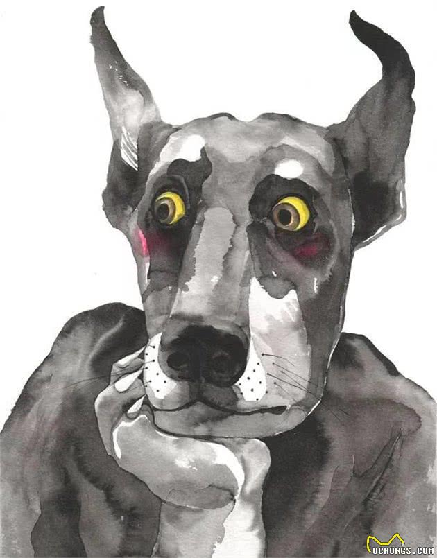 狗狗和猫猫的皮肤，这里是你所不知道的事？