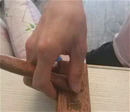 如何给狗狗梳毛？中
