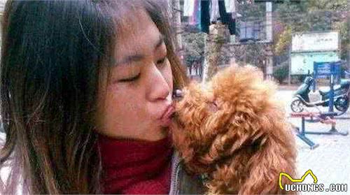 泰迪犬做这7点，表明在它眼里，你是它的“妈妈”