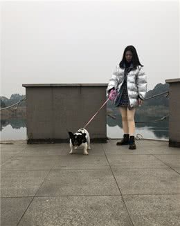 狗狗应该怎样补充营养？