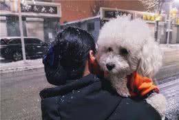 养狗后的6大幸福瞬间，养过的人才能感同身受