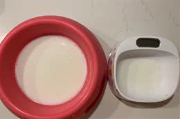 萨摩耶软糖享用大部分零食，却被妈妈夸脾气好，麻糬：我吃的最多