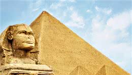 你不知道的斯芬克斯猫：出生时就睁着眼，两岁时真正“变秃”