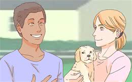 看见喜欢的陌生狗狗，如何才能安全开心的撸狗（上）-接近