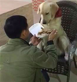 出差将狗子交给老爸养，起初遭坚决反对，等再去接时：换了个人吗