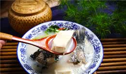 一个影响爱宠健康的核心指标-宠物食品的“消化率”，你知道多少