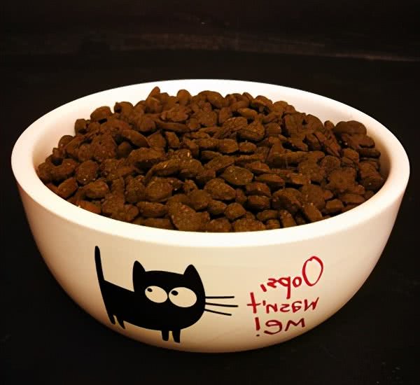 德文卷毛猫吃什么猫粮好？怎么挑选德文卷毛猫的猫粮？