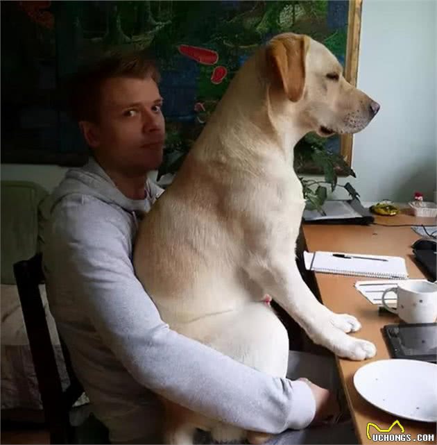 养狗不选“母犬”的四个原因，你后悔了吗？