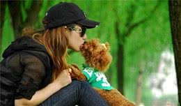 泰迪犬虽然弱小，但这5件护主行为，表明没白养它