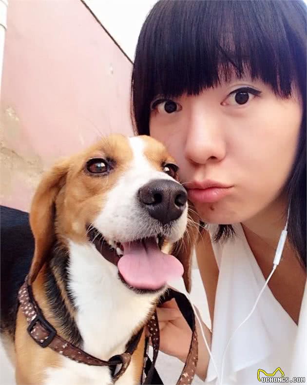 养一只比格犬，是一种怎样的体验？比格犬的性格特点