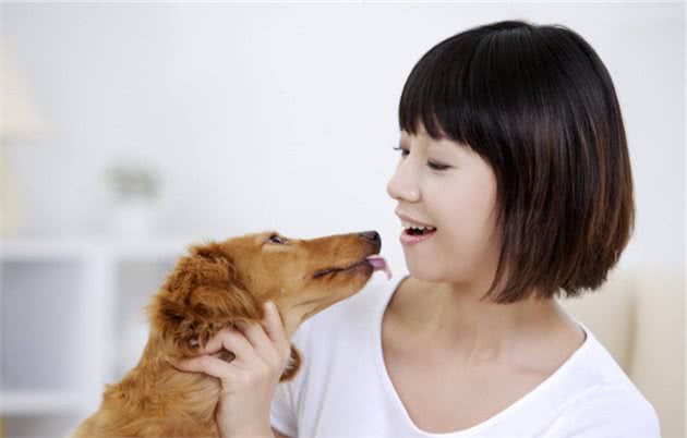 狗狗有这“6个表现”，说明把你当“孩子”了，你家狗狗有吗？