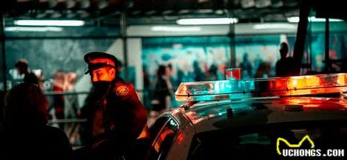 萨摩耶被二哈带坏总想离家出走，主人该如何教育狗狗不乱跑