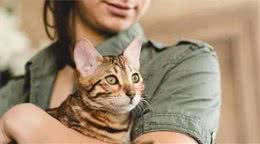 猫咪为何不让抱？原因有这几个