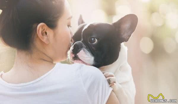 狗鼻子不仅可以嗅食物，还可以嗅癌症
