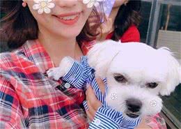 一个人有这几大特点，那很大可能养了狗狗