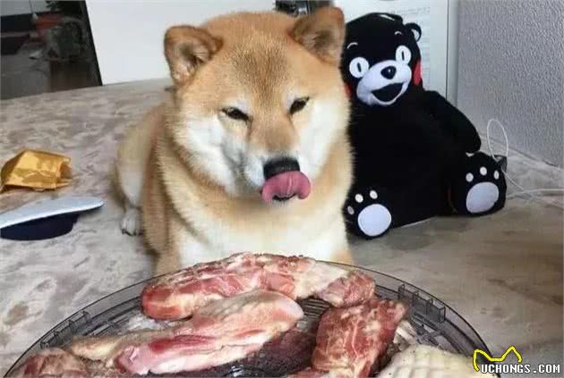 在你眼中不屑一顾的六种食物，其实都是狗狗的最爱