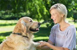 养狗一定要牢记“七不要”，对狗狗有益