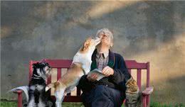 猫狗到底听得懂自己的名字吗？科学家做了一个实验