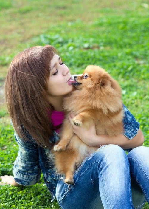 博美犬最喜欢对主人做的5件事，看到第4件，我忍不住了