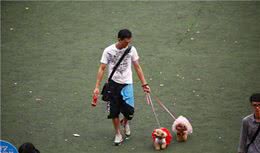 如何训练狗狗跟着主人？专业训犬师手把手教你