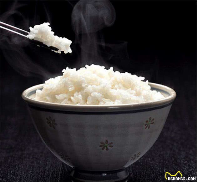 再这样喂食你家爱犬，只是给它肠胃上刑，伤害很大！